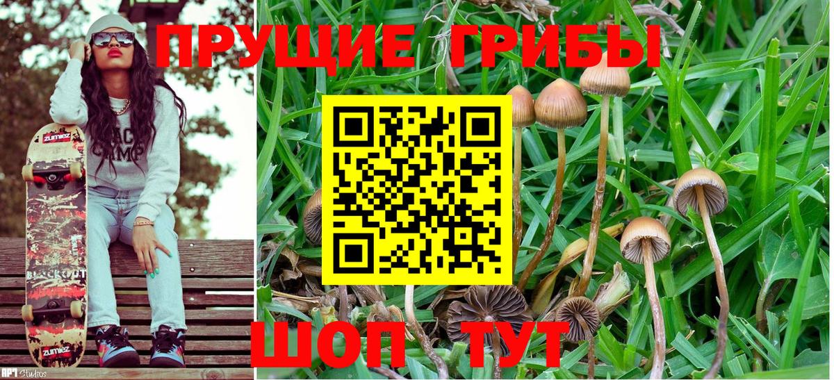 Чита  Псилоцибиновые грибы GOLDEN TEACHER  Псилоцибиновые грибы Cubensis  дарнет шоп  Вход с VPN 